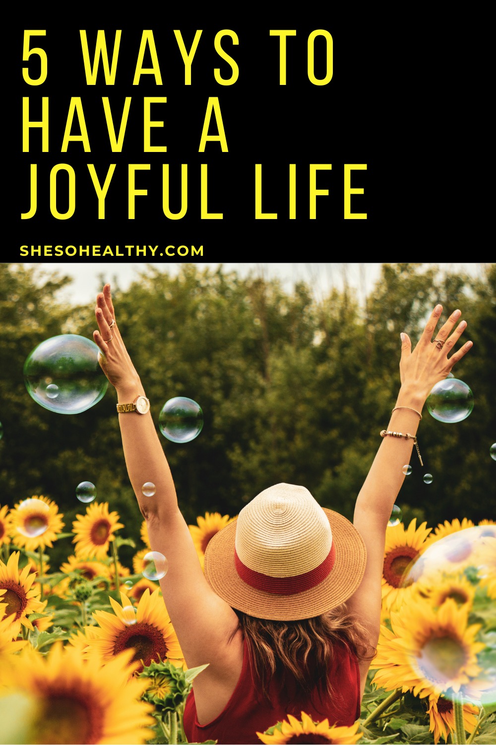 personal essay on what brings you joy in life