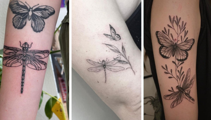 dragonfly and butterfly tattoos